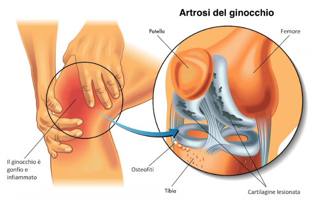 Intervista al Dott. Matteo Vitali